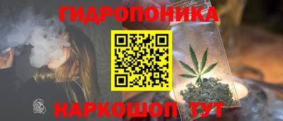 сатива Будённовск