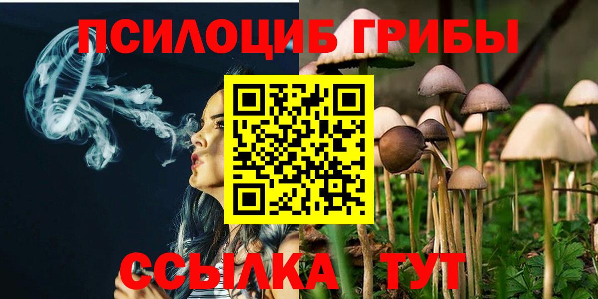 Псилоцибиновые грибы Psilocybe Южно-Сахалинск