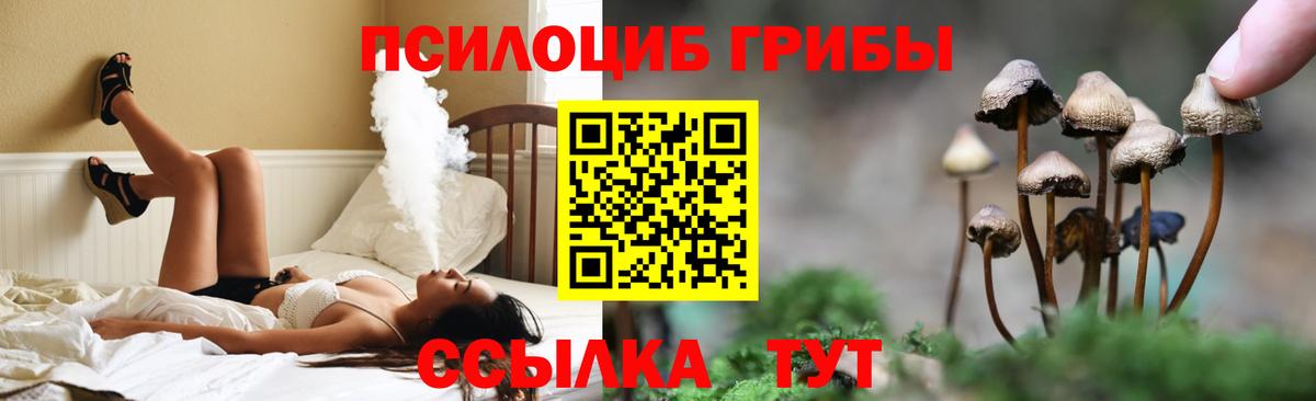 Галлюциногенные грибы GOLDEN TEACHER  Вход с VPN  Южно-Сахалинск 